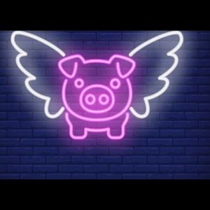 Meet your Posher, Judy